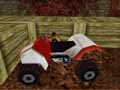 Quad Runner in India